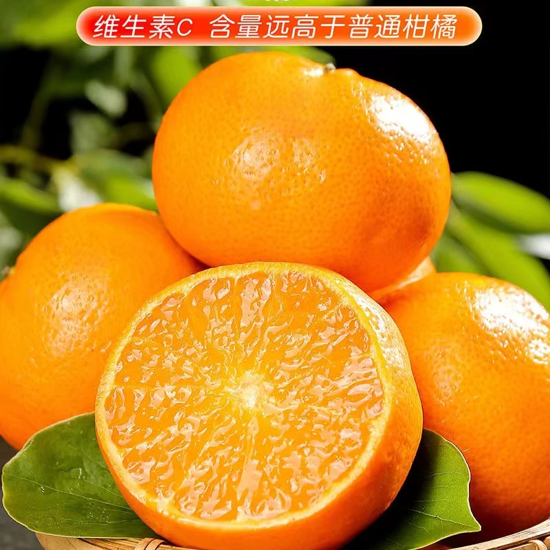 [新鲜采摘]广西武鸣沃柑2/5/9斤当季新鲜水果香甜甜柑橘桔子包邮