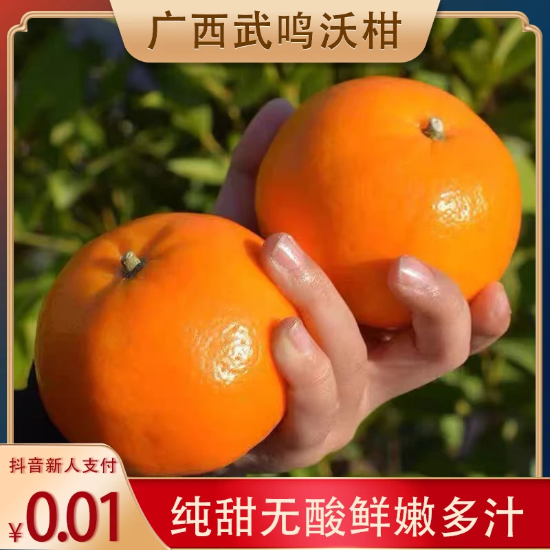 广西武鸣正宗沃柑超甜沃柑新鲜大果水果非粑粑柑现摘现发2/5/9斤