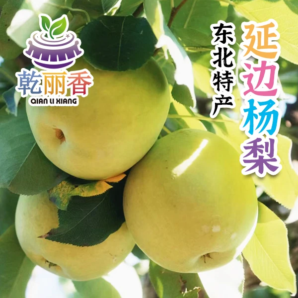 【东北特产延边杨梨9粒/12粒装7-8斤】当季采摘新鲜水果梨延边直发