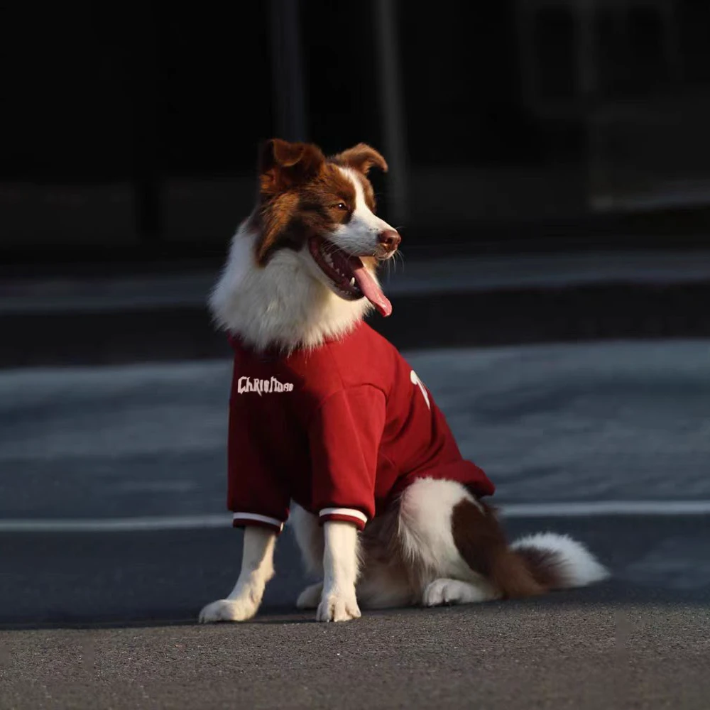 大狗品牌秋冬帅气网红狗狗圣诞大型犬中型犬边牧拉布拉多保暖狗