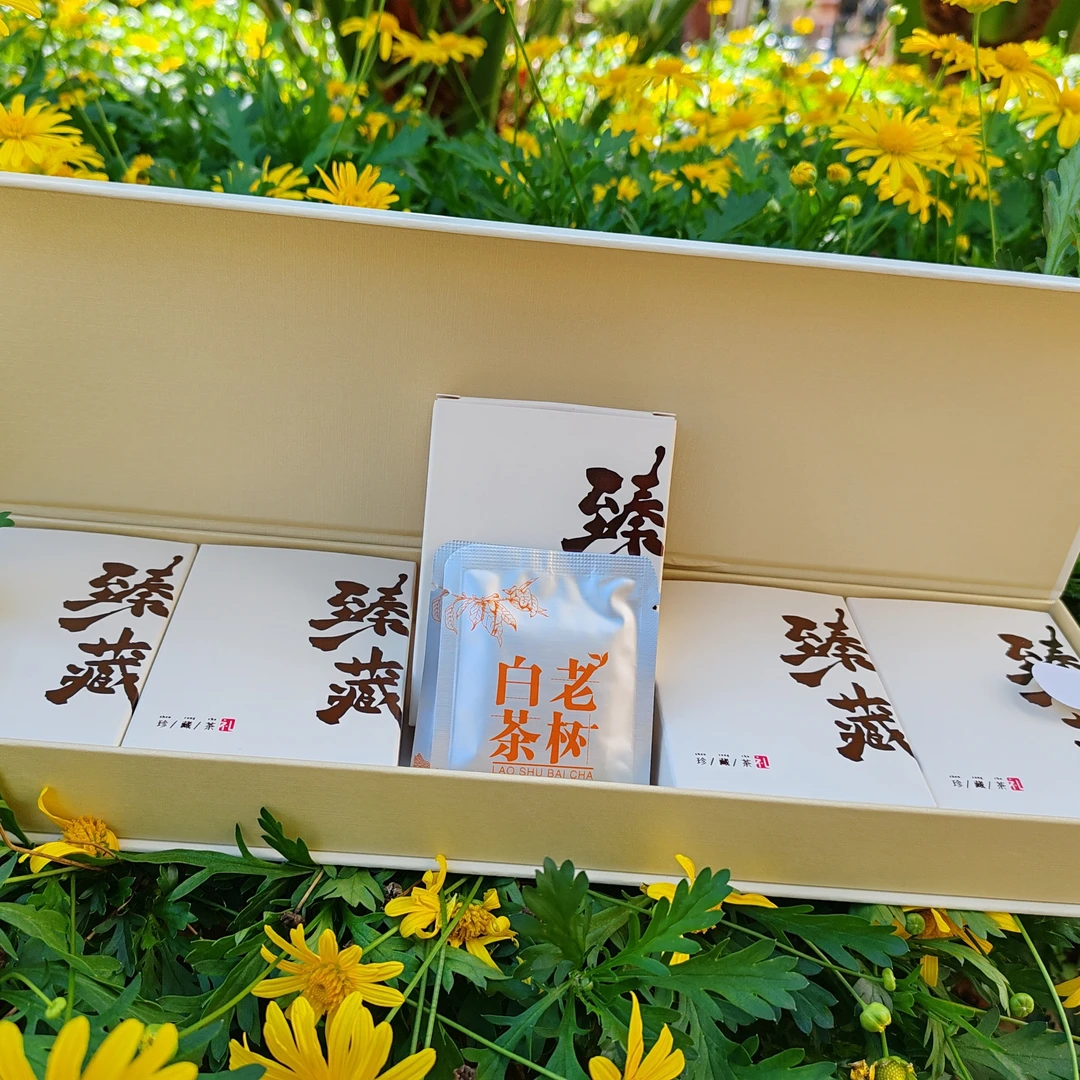 【银子山】2022年白茶老树普洱茶盒装迷你生茶
