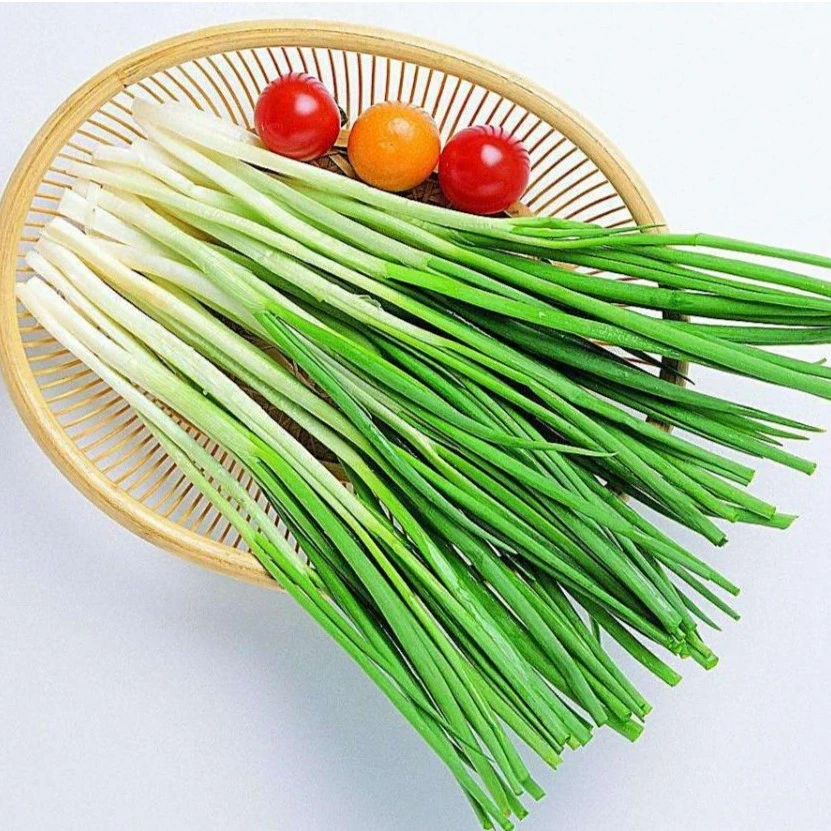 新鲜 大葱 200g/份