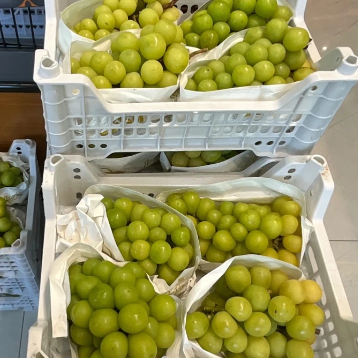 整箱阳光玫瑰一箱