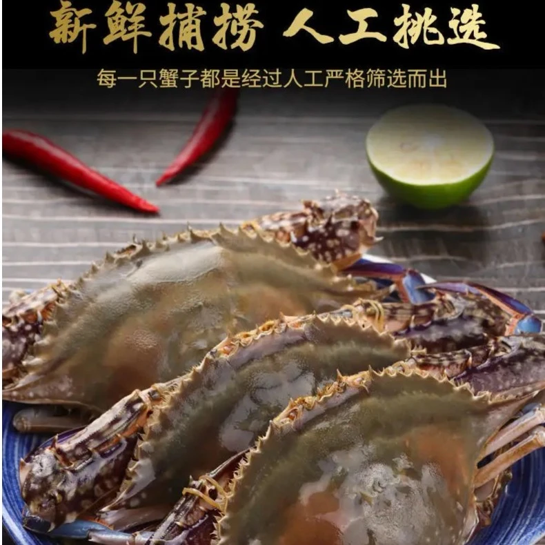 【活鲜】梭子蟹 新鲜捕捞肉鲜味美 活蟹充氧活发不包活 规格自由选