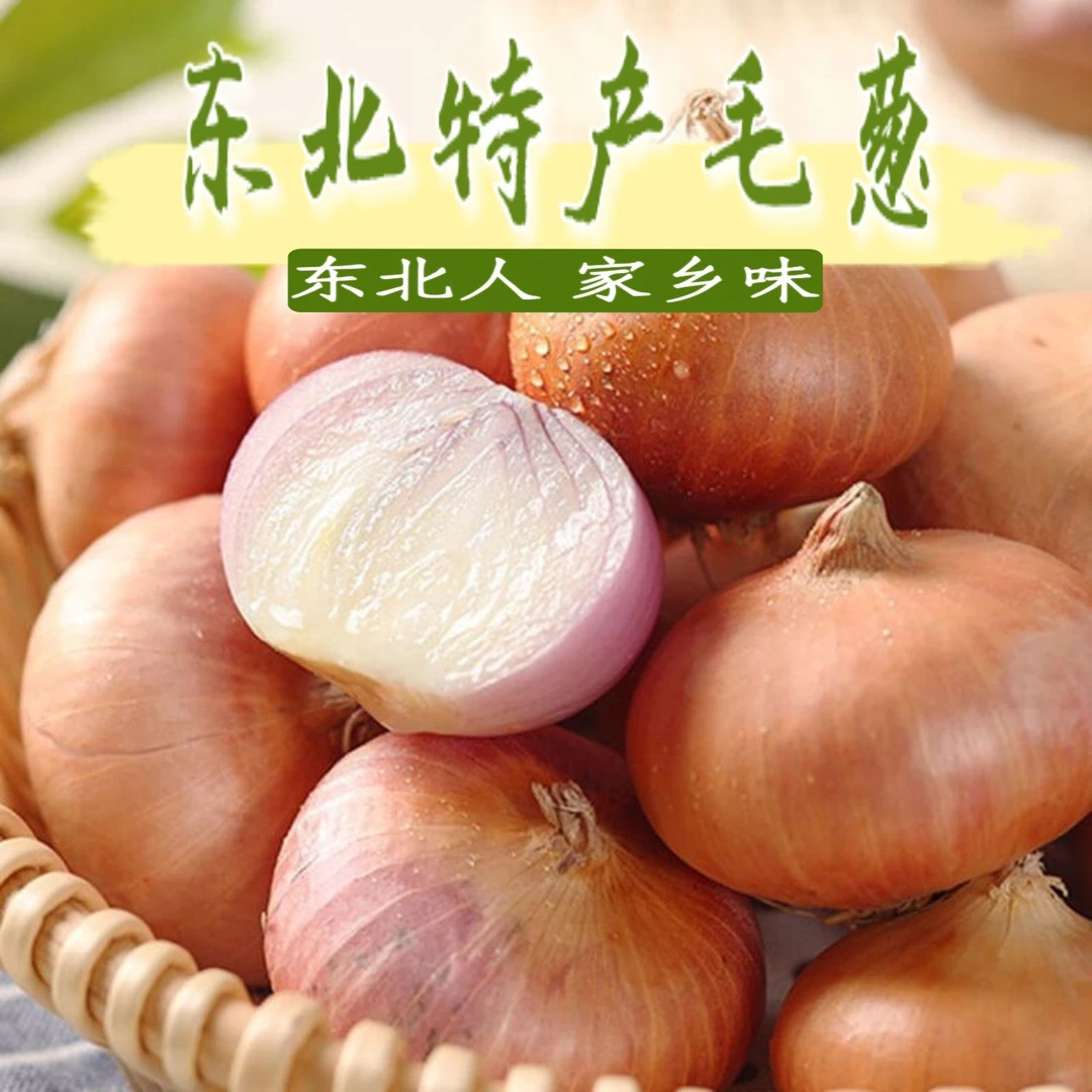 东北特产毛葱新鲜鬼子葱红葱头农家毛葱大号小号混装发货3斤5斤