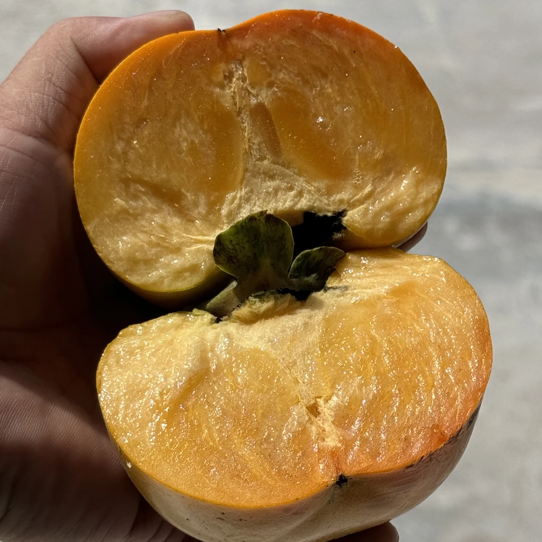 湘西高山太秋脆柿子脆爽纯甜无酸现摘现发