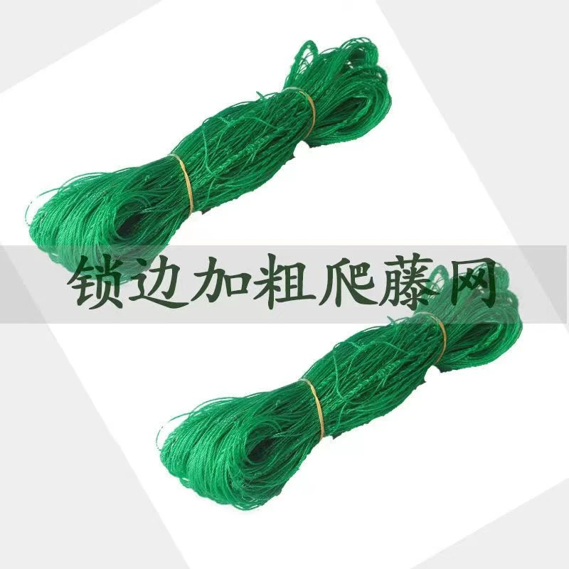 种植爬藤网植物攀爬网家用蔬瓜果网 种黄瓜百香果 园艺菜园爬藤网