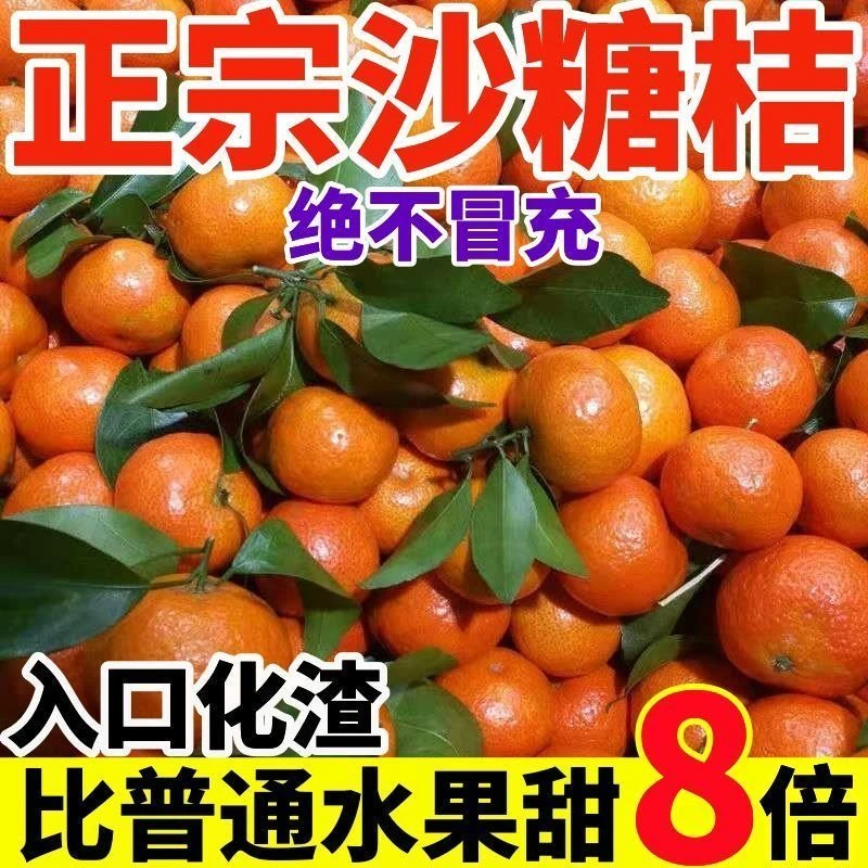 正宗广西沙糖桔无籽整箱水果薄皮特级桔子砂糖橘小橘子新鲜包邮甜