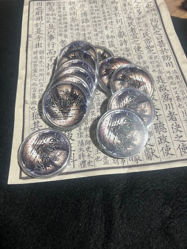 越南芽庄龙型10片无黏粉盘香香薰香料