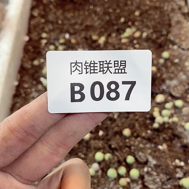 87啊的窗户和规范地方法规和健康
