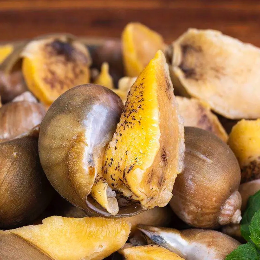 Z新鲜冷冻鲍螺速冻锁鲜（老婆脚）