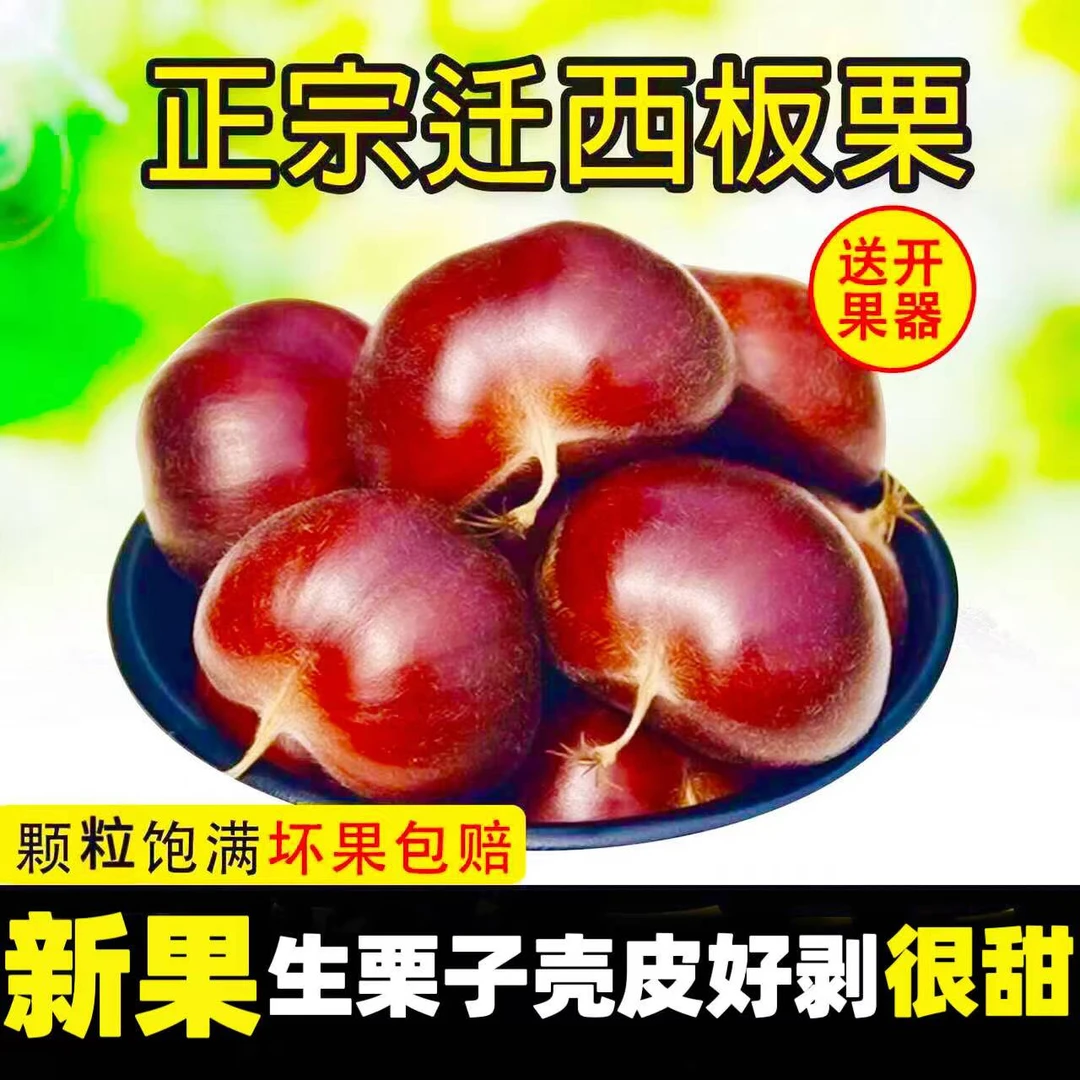 迁西板栗新鲜栗子香甜农家现摘高山批发老树油栗板栗燕山板栗