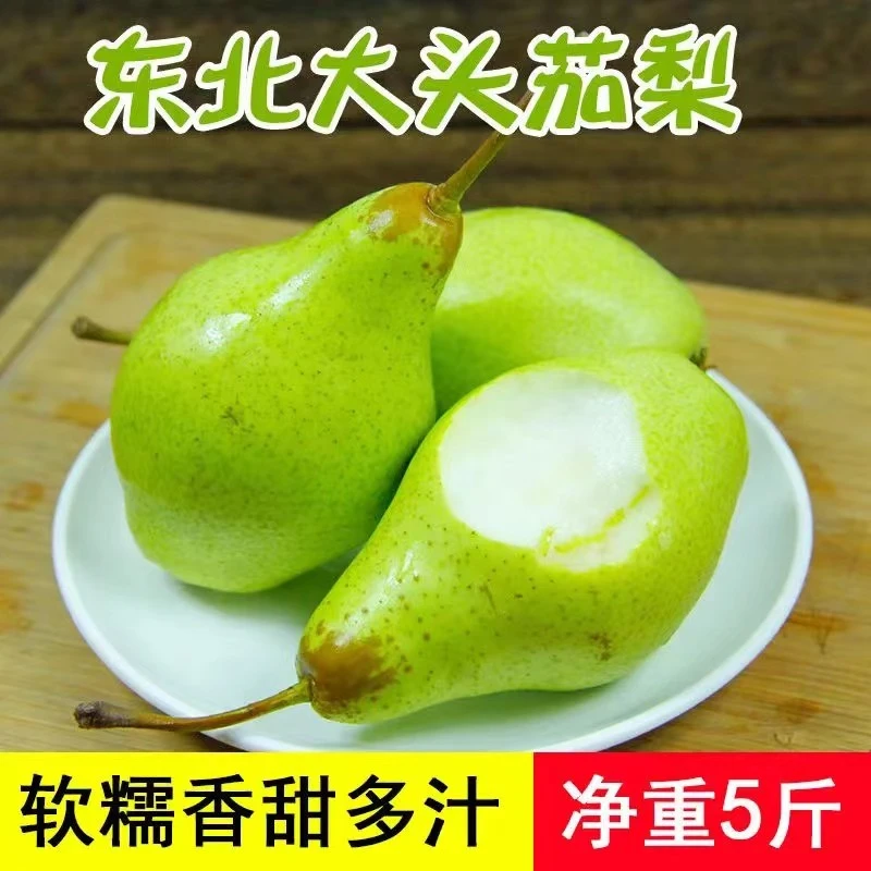 东北茄梨 5斤装 包邮 软糯香甜 太婆梨大头梨把梨青啤梨
