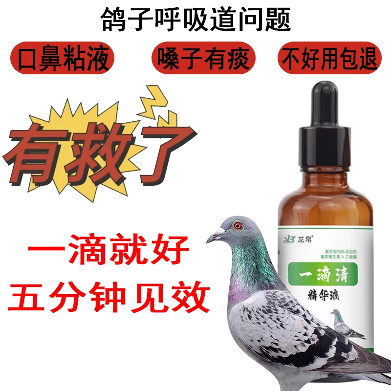 一滴清，鸽子呼吸道，口鼻粘液，嗓子有痰
