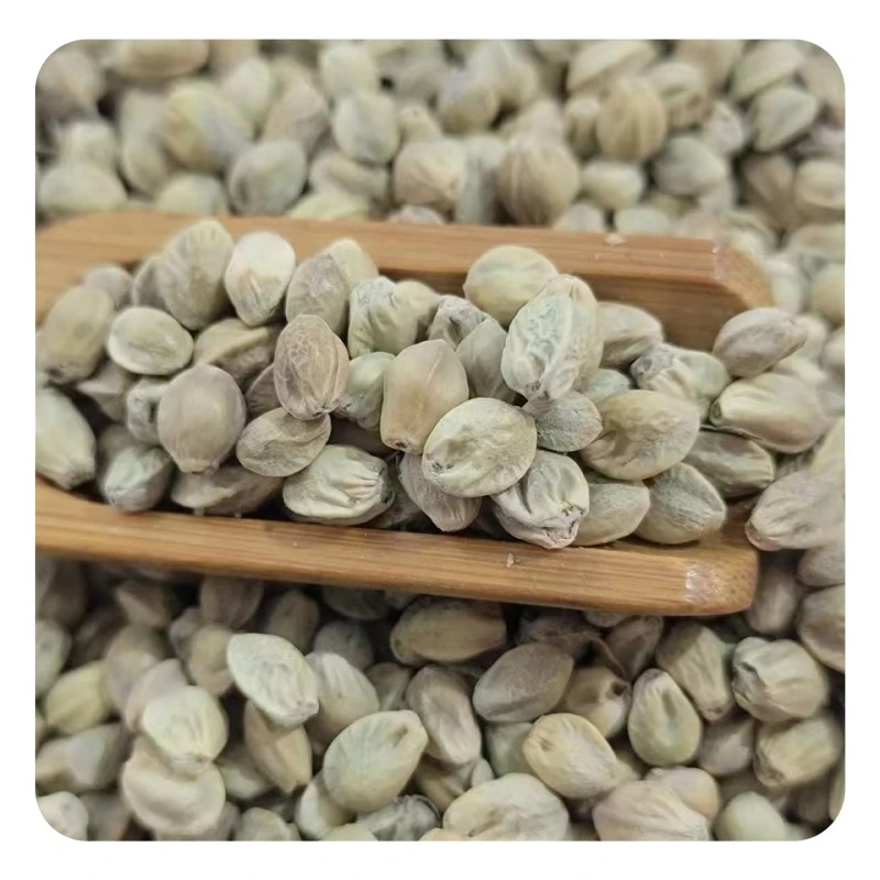 天水秦安麻子甘肃特产生熟美味麻籽精选带壳麻子批发包邮