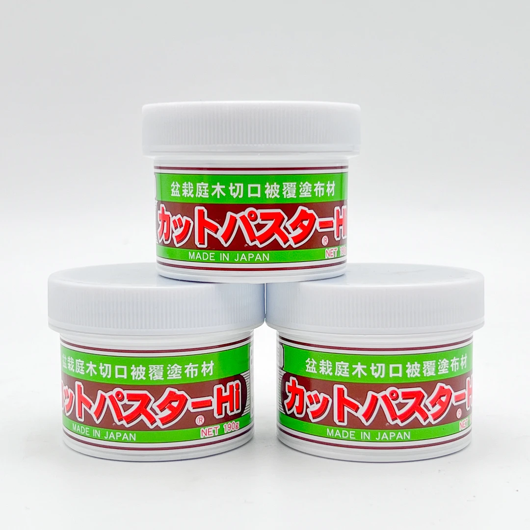 日本进口盆景松柏杂木专用切口伤口愈合泥填窟窿190g