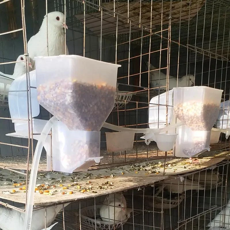 鸽子自动喂食器大容量料槽自动单双料盒食槽防扒料鸽子用品用具