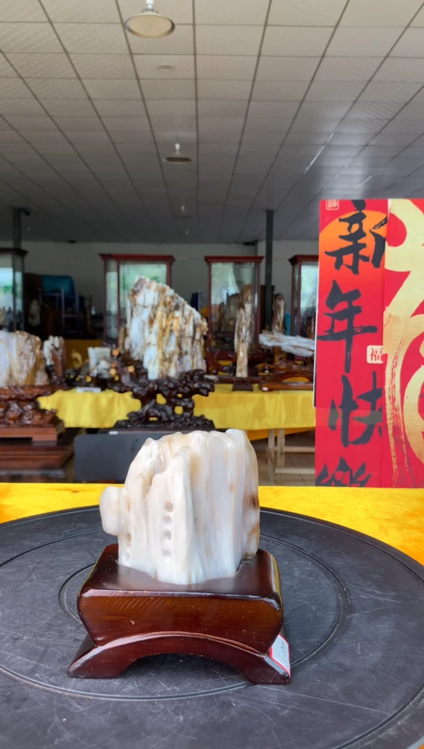 【闪购商品】硅化玉珠宝奇石未镶嵌1