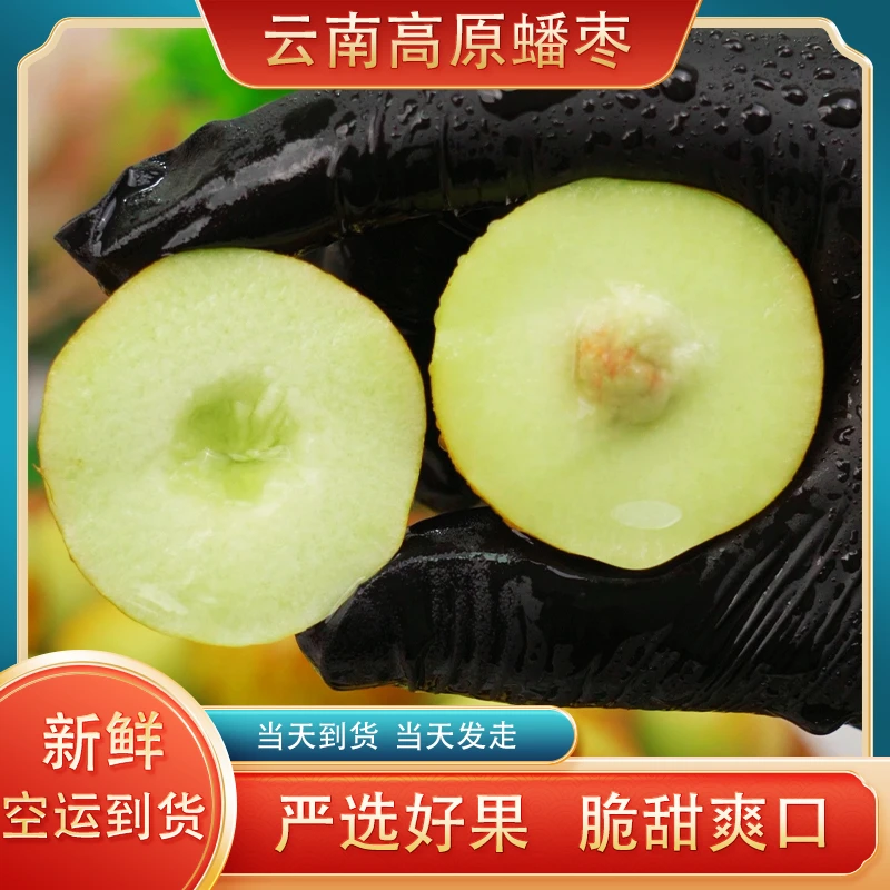 【顺丰速运】礼盒装新鲜云南特产新鲜蟠枣高品质鲜枣大枣礼盒包装