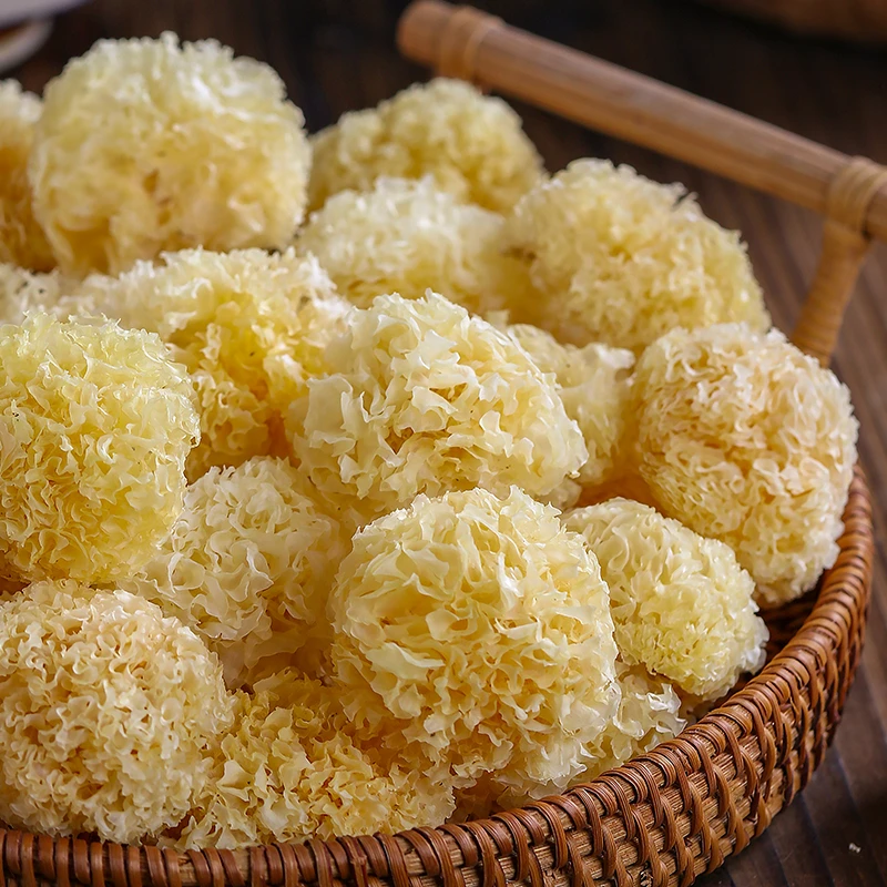 【2023椴木小银耳】银耳古田椴木小银耳干货出胶食用菌散装专属