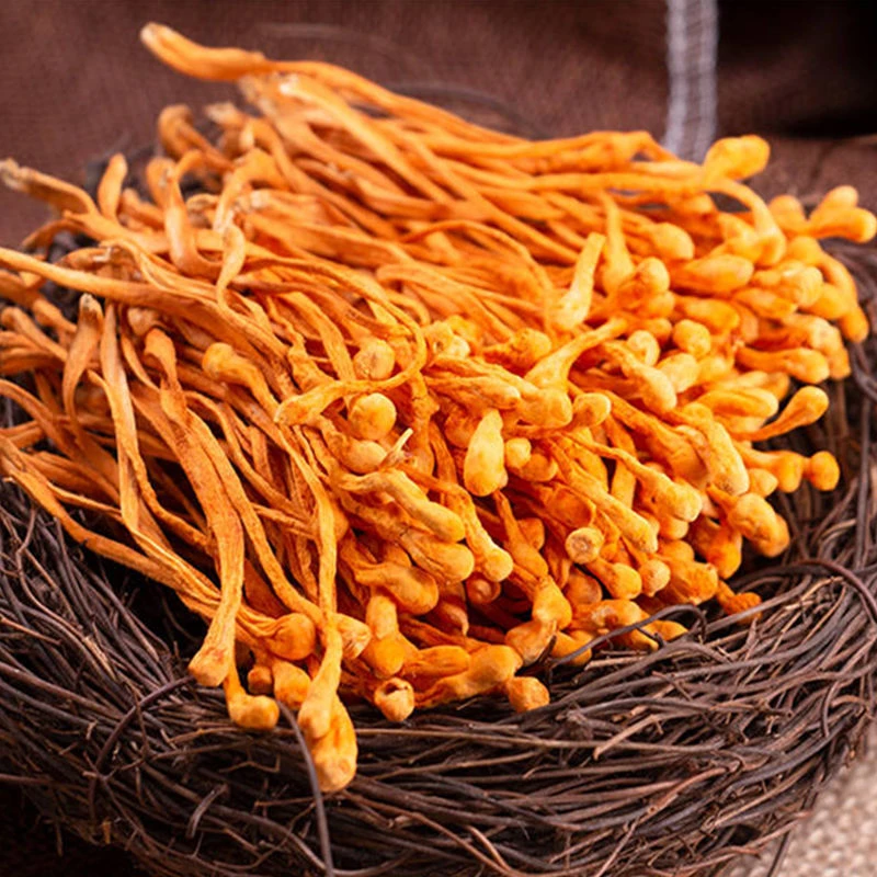【新货上市】虫草花干货优蛹虫草食用菌营养煲汤鲜美烹饪香味浓郁