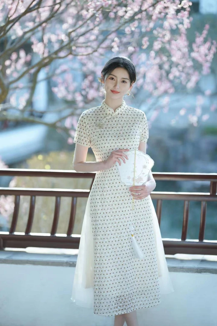 半壶纱 优雅奥黛改良旗袍安诗歌中国风旗袍
