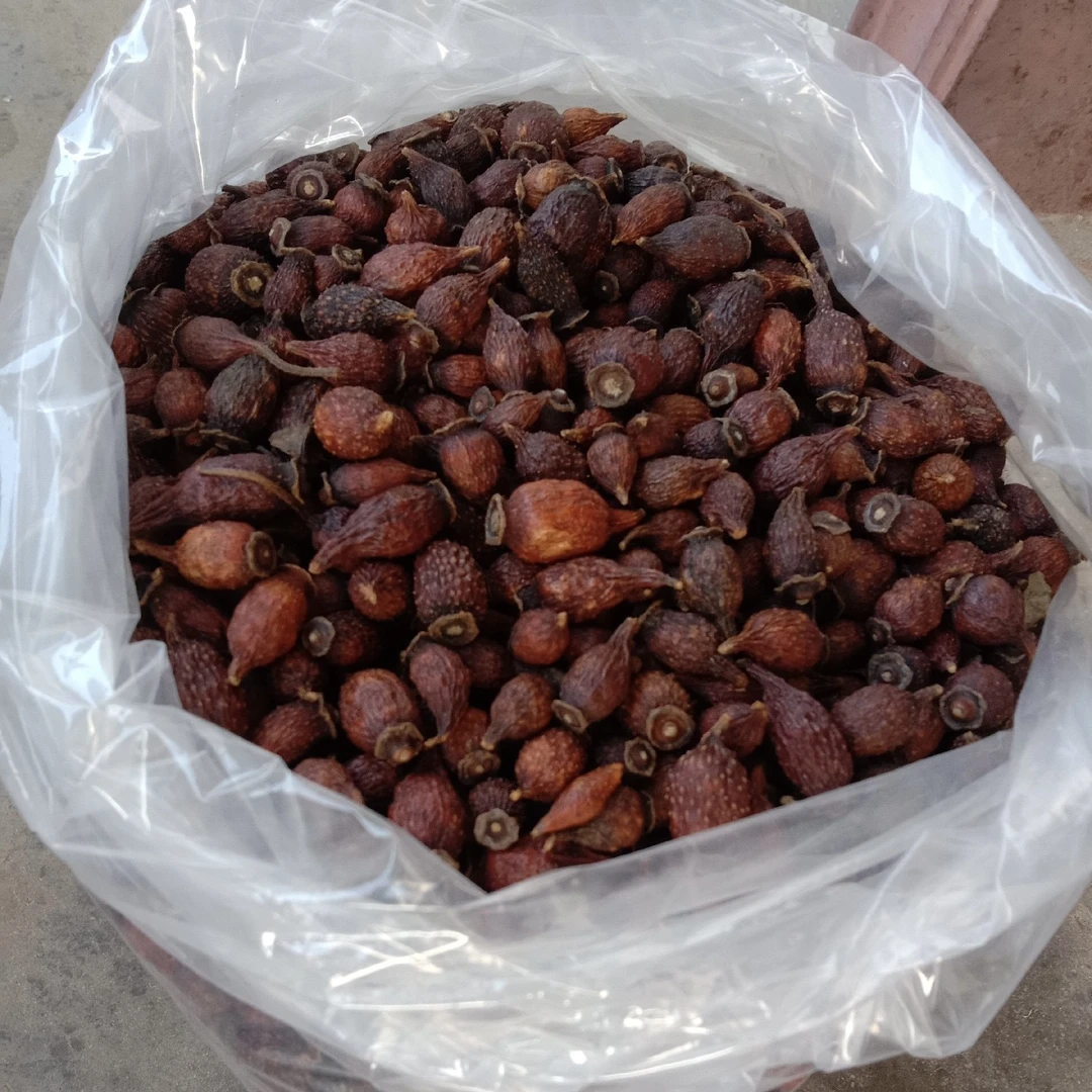 金樱子 精选正宗大别山干净无杂 金樱子肉 搭配芡实