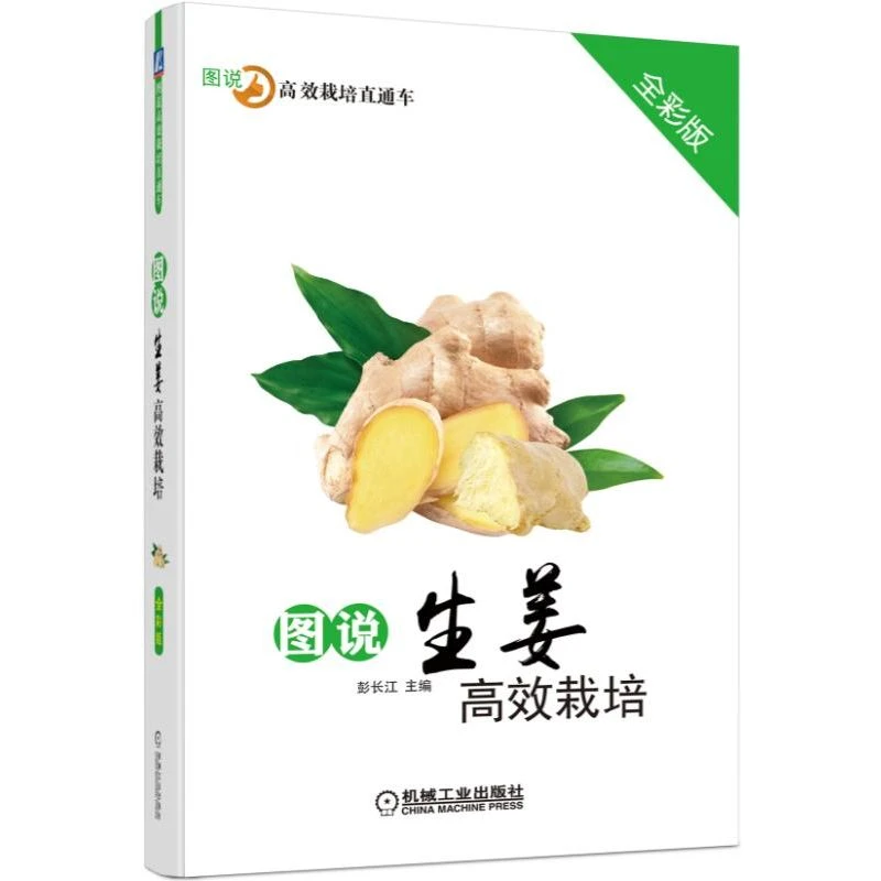 图说生姜高效栽培（全彩版）  生姜 栽培 病虫害 图说  种植