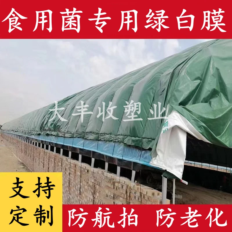 大棚膜绿白膜食用菌专用膜防航拍反光隔热抗老化长寿微透光漫散射
