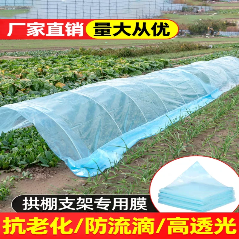 小拱棚膜全新料浅蓝透明防冻保温塑料薄膜苗防寒柑橘大棚内膜二膜
