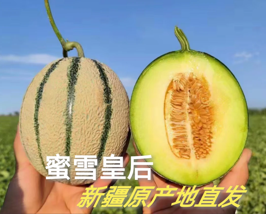 【冰雪皇后哈蜜瓜】顺丰包邮新疆原产地当天直发软糯香甜新鲜老汉瓜