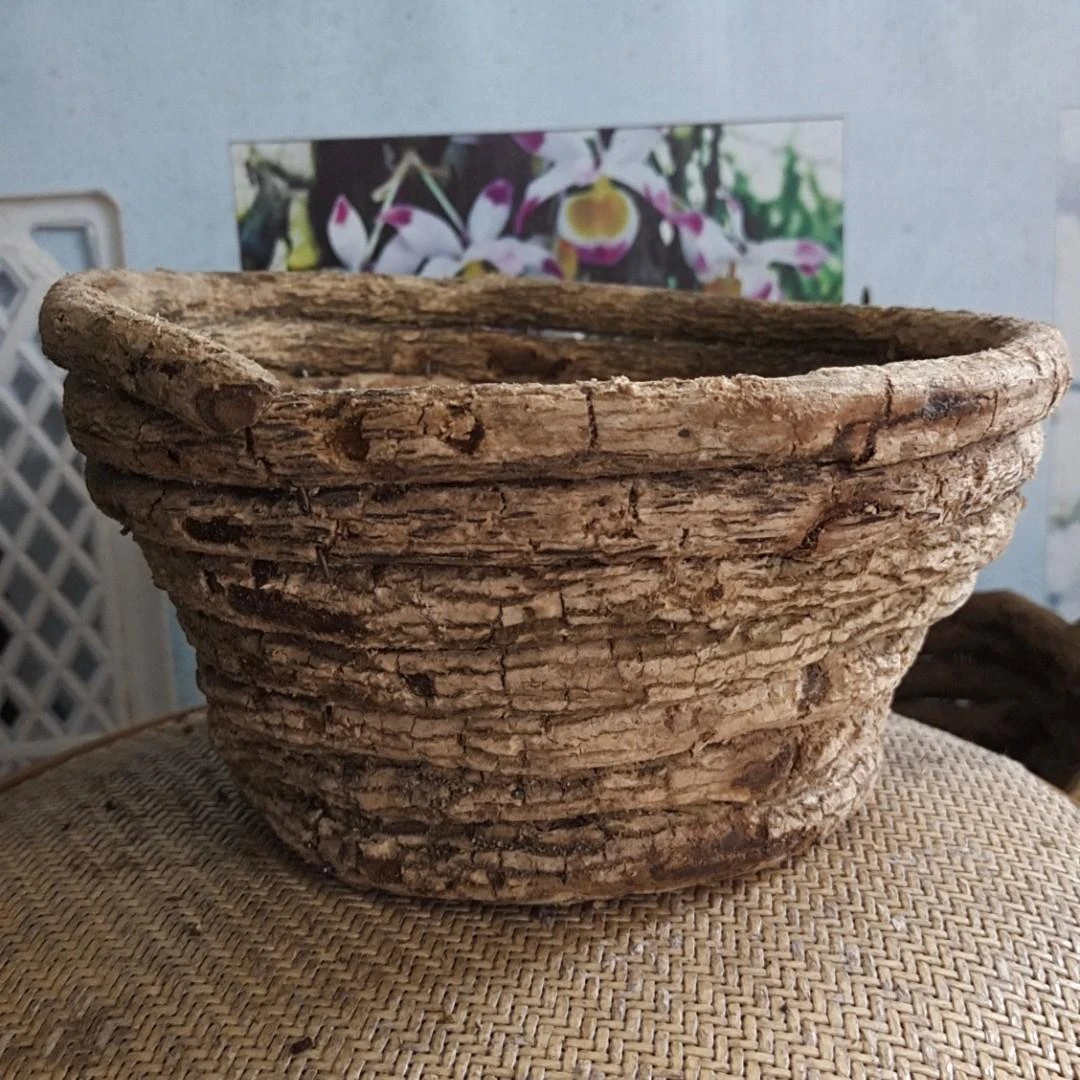 藤条盆 兰花专用盆