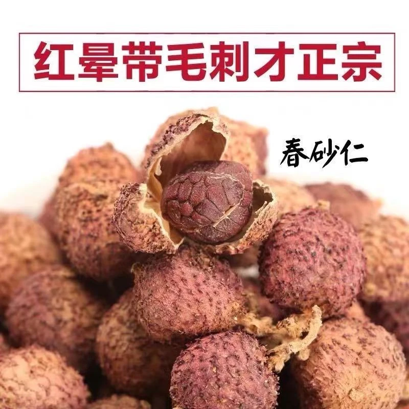 广东阳春砂仁道地选材正宗精选春砂仁干果特产砂仁煲汤蒸肉蒸排骨