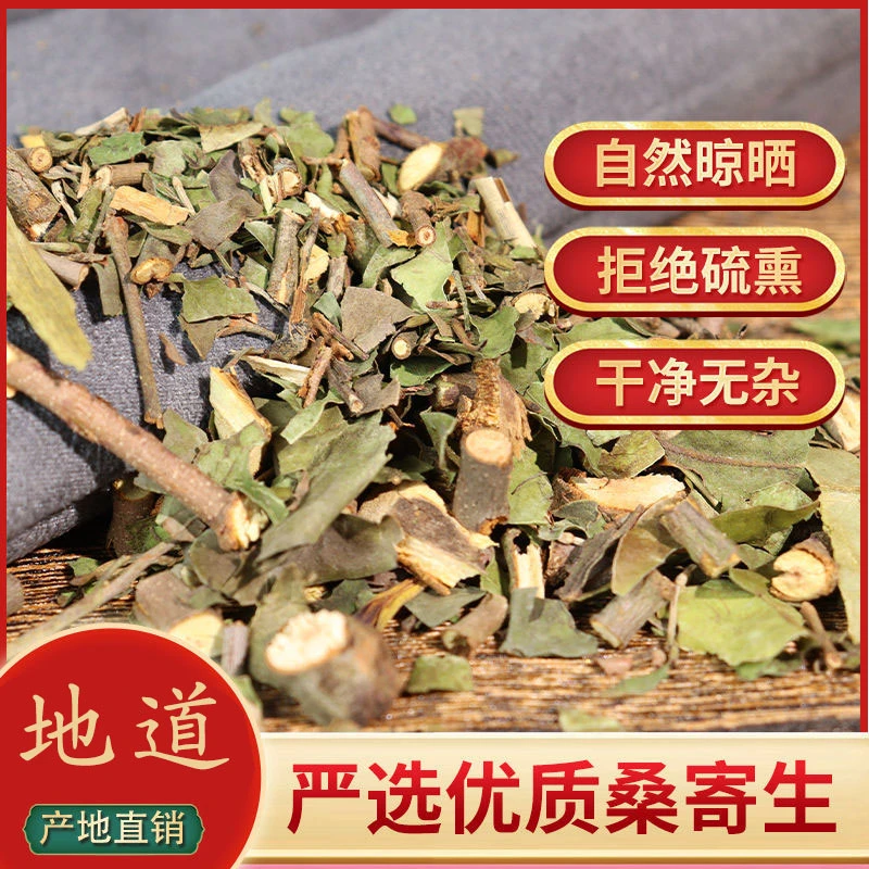 桑寄生道地选材桑寄生地道新货桑寄生正品寄生茶干货可泡茶泡水