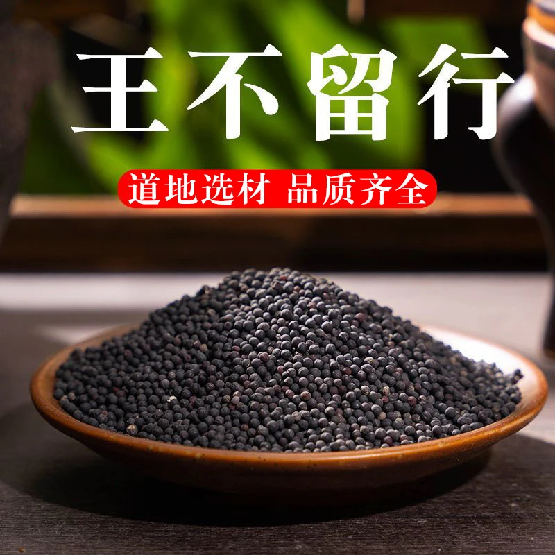 王不留行 地道选材不留行王不留精选王不留子决明籽王不留籽煲汤
