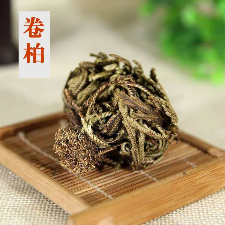 卷柏  精选卷柏正品地道 九死还魂草 小卷柏 还魂草长生草干货