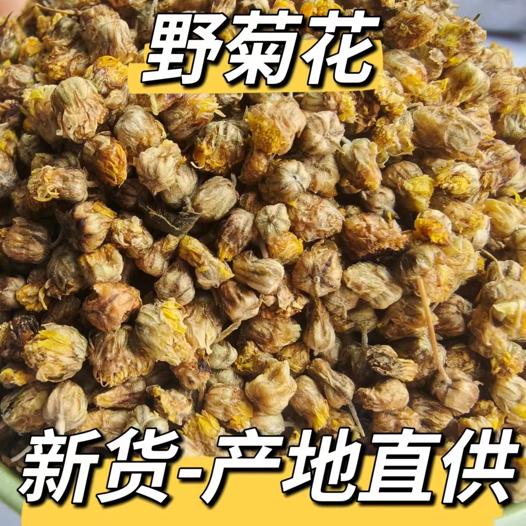 霍哥推荐 野菊花干货