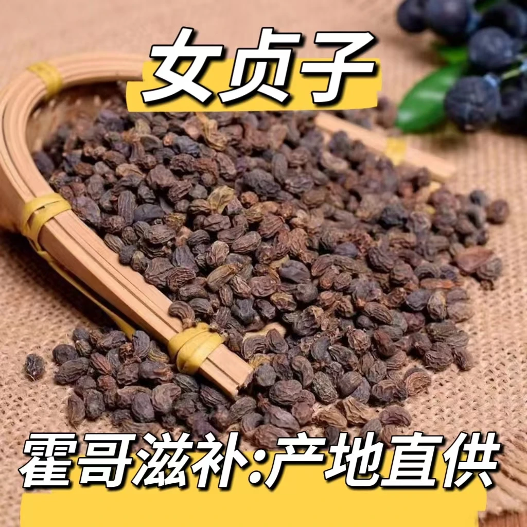 女贞子 干货安国本草