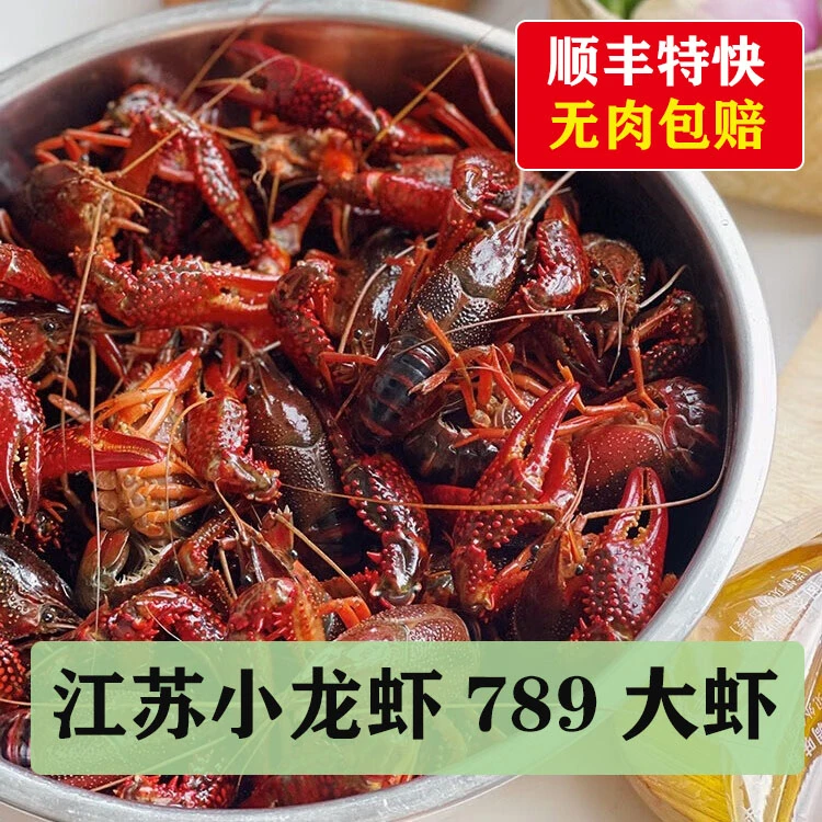愫水江苏洪泽湖盱眙小龙虾789钱新鲜活体特大虾青红虾3-5斤装清水