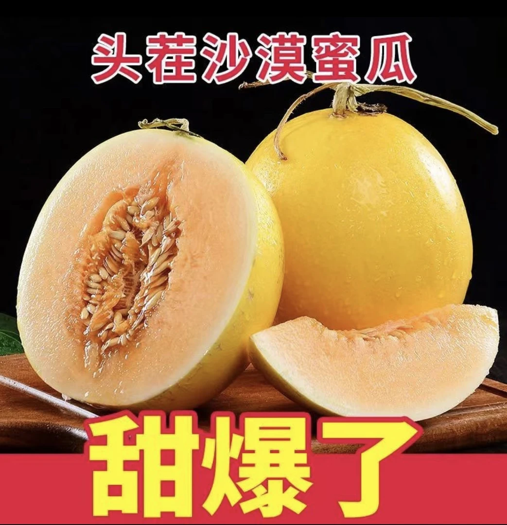 甘肃民勤沙漠蜜瓜