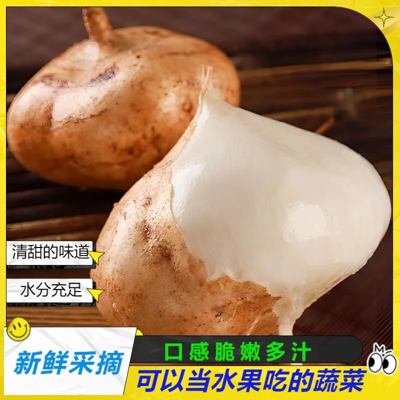 现摘新鲜地瓜凉薯脆甜多汁香甜酥脆