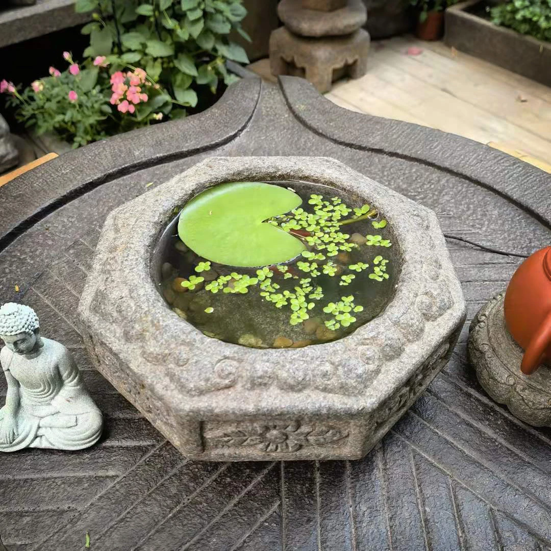 聚宝盆花器一叶莲盆栽禅意庭院装饰摆件阳台花园布置微景观多肉盆