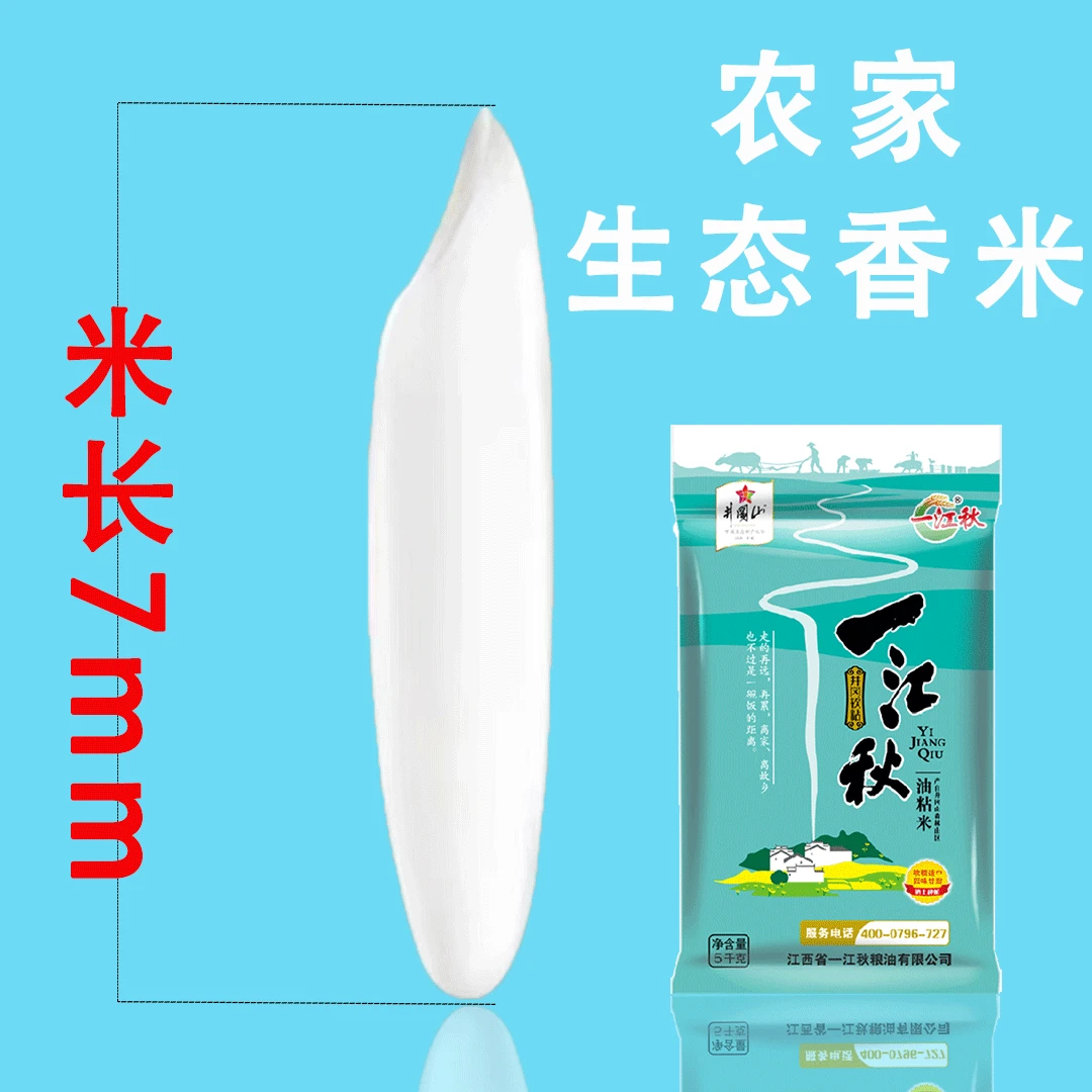 一江秋天然优质油粘米长粒香米 10/20斤现磨现发新鲜爽口大米软糯