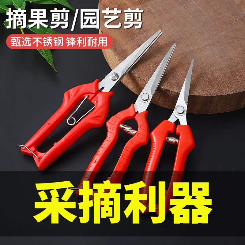 摘果剪强力修枝剪子园林稀果摘果剪葡萄修枝专用剪刀蔬果采摘剪子
