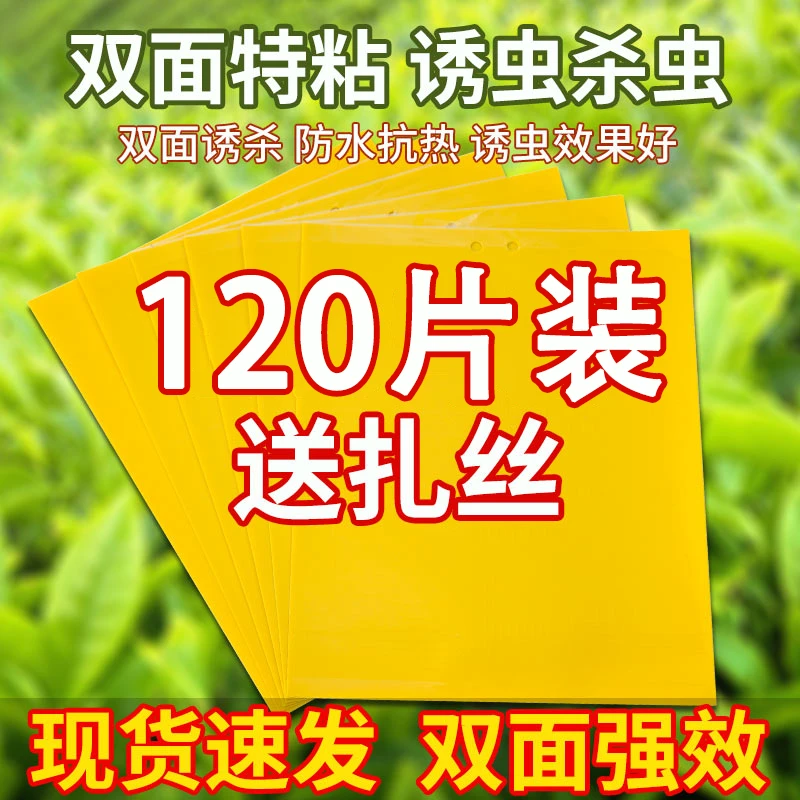 【120片装】双面黄板粘虫板灭杀诱捕捉蚊子小飞虫贴纸沾大棚苍蝇扳
