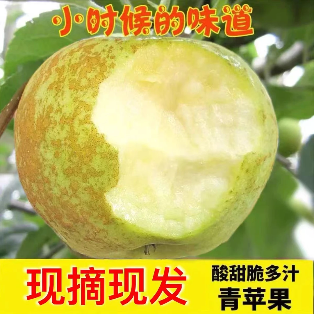 【小时候的味道】正宗金帅酸甜青苹果小时候的回忆2斤/4.5/8.5斤