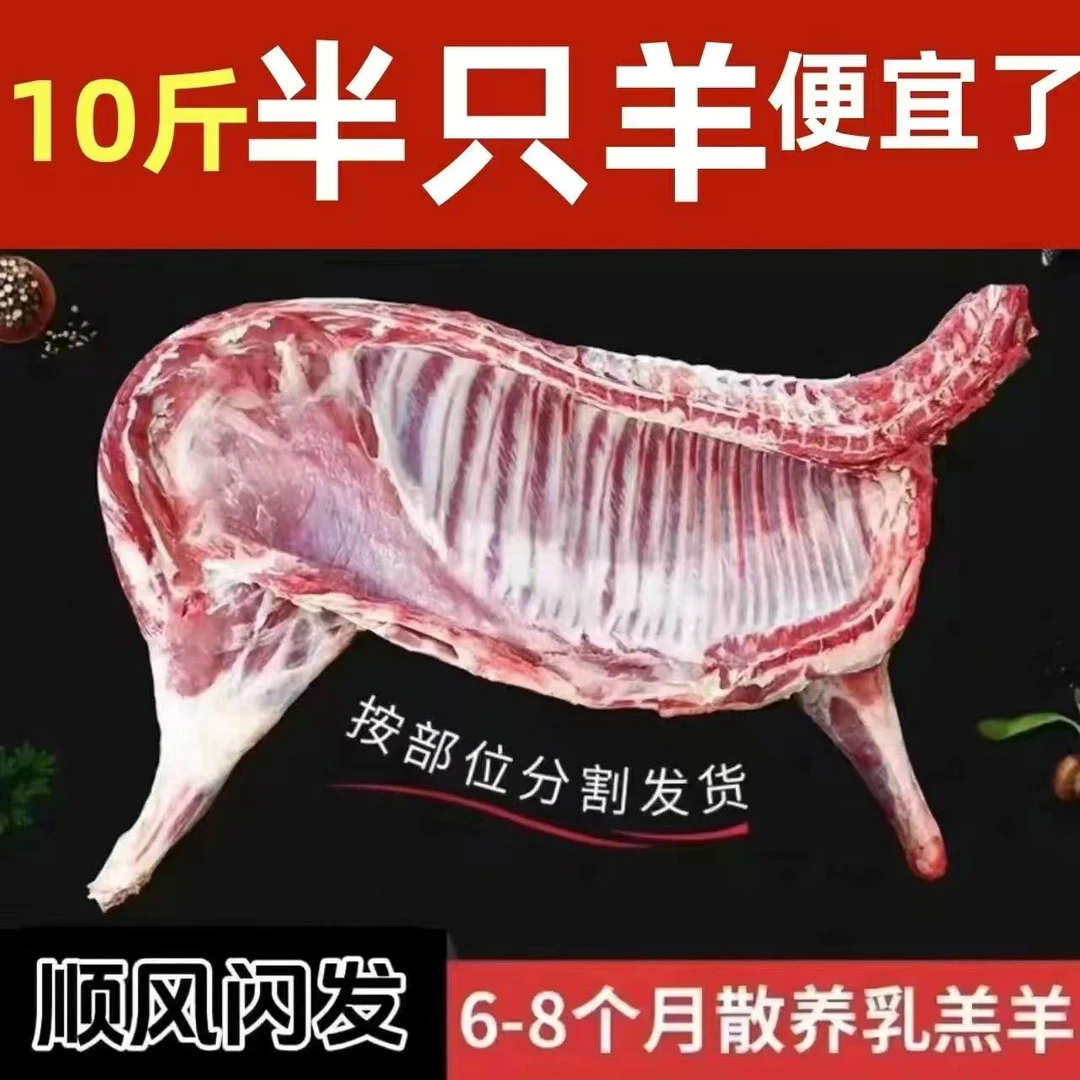 【顺丰京东冷链包邮】新鲜半只羊十斤羔羊本地羊