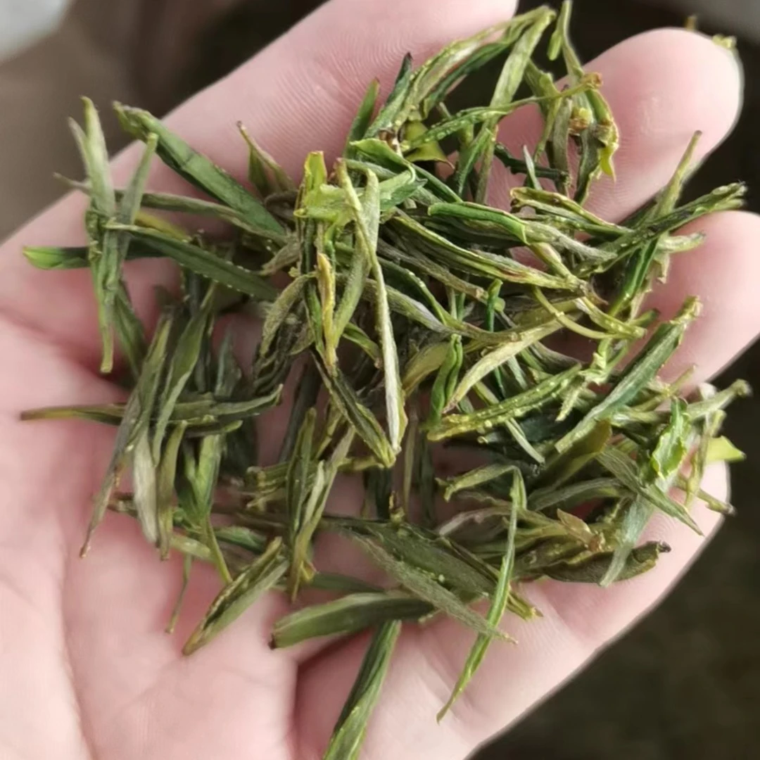 2024年新茶黄山土种毛峰A7浓香耐泡回甘持久耐泡度高250g/500g