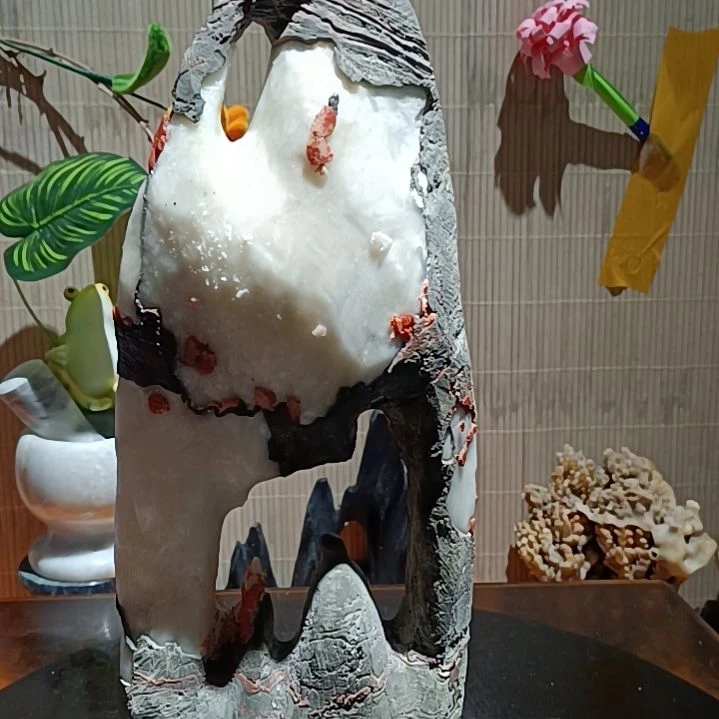 红陶20CM（含）-50CM（不含）笃**广