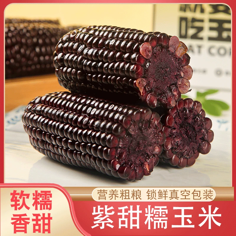 新鲜紫甜糯玉米8穗非即食玉米鲜嫩清甜早餐蒸煮代餐主食香甜粗粮
